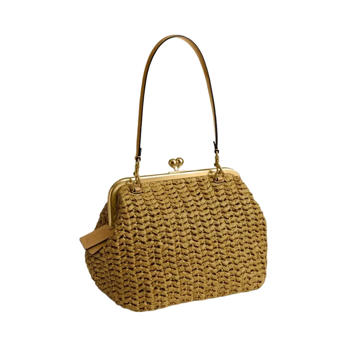Coach Kisslock Frame Bag 27 in Brass Muted Olive