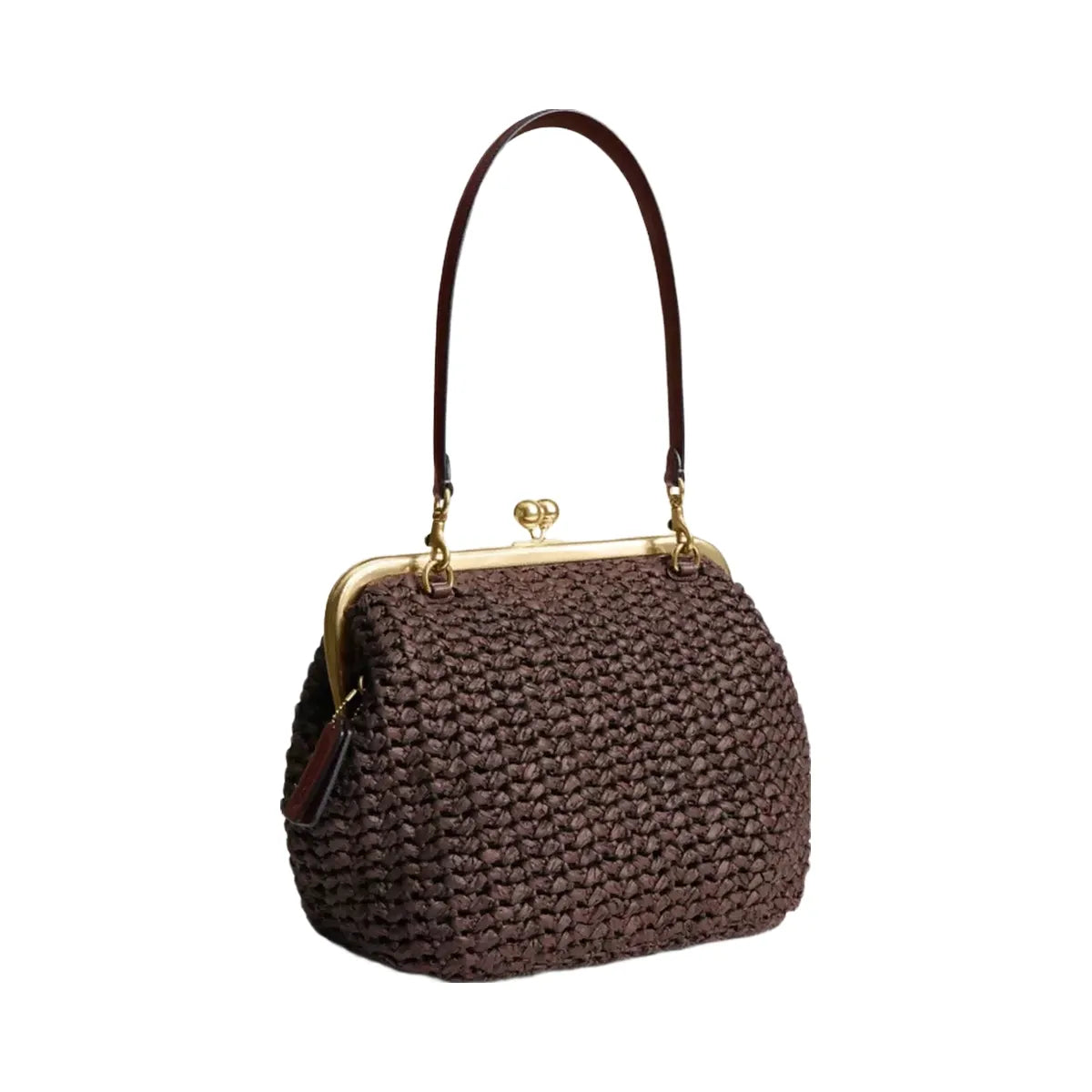 Coach Kisslock Frame Bag 27 in Brass Maple