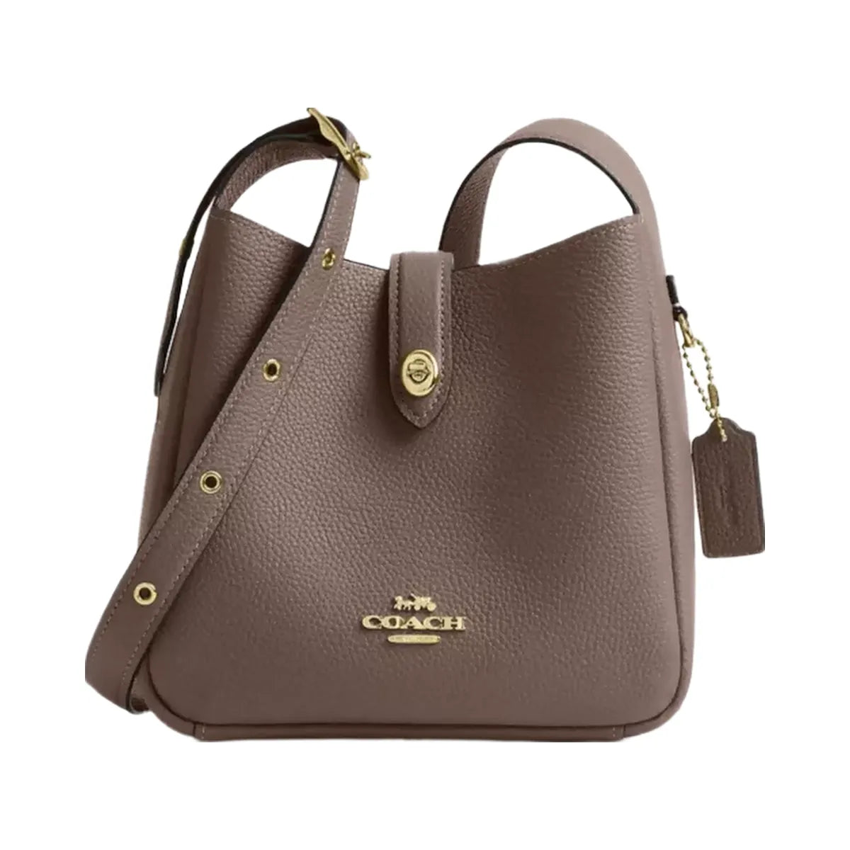Coach Hadley Mini Crossbody Bag in Gold Dark Stone