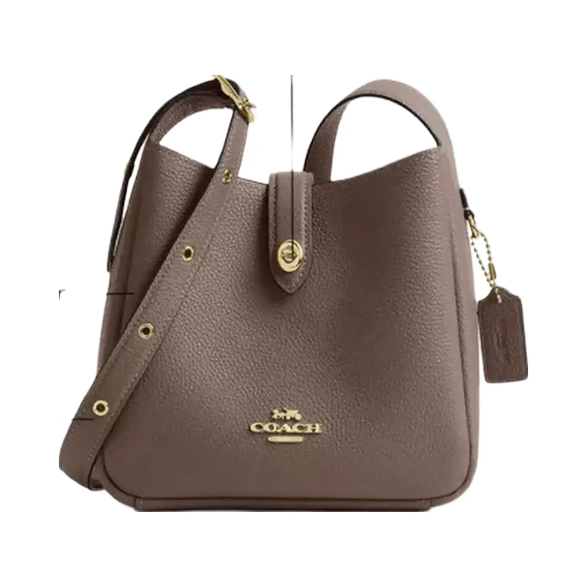 Coach Hadley Mini Crossbody Bag in Gold Dark Stone