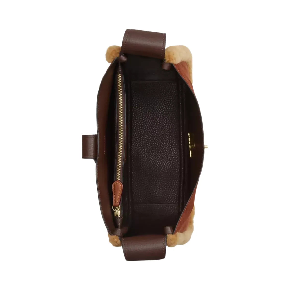 Coach Hadley Convertible Crossbody Bag in Gold Vintage Brown Multi