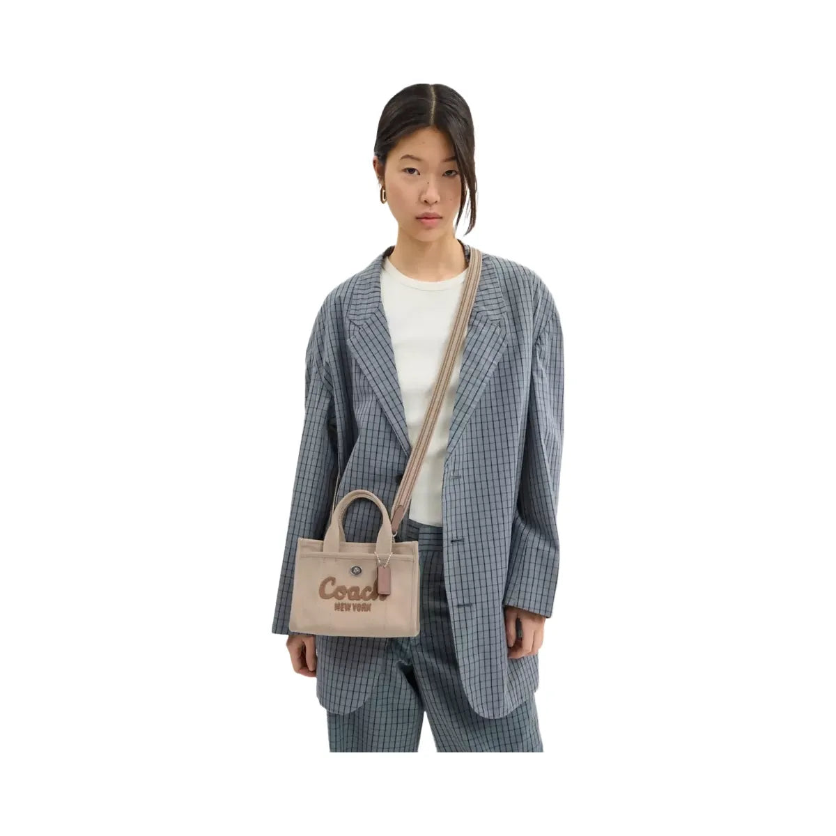 Coach Cargo Tote Bag 20 in Silver Dark Natural