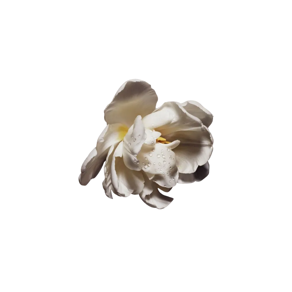Dior Cuir Saddle Eau De Parfum – Leather And Floral Notes