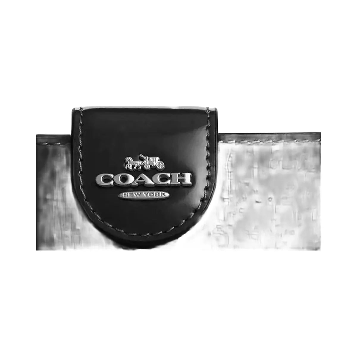 Coach Medium Corner Zip Wallet Novelty Leather-Silver-Black