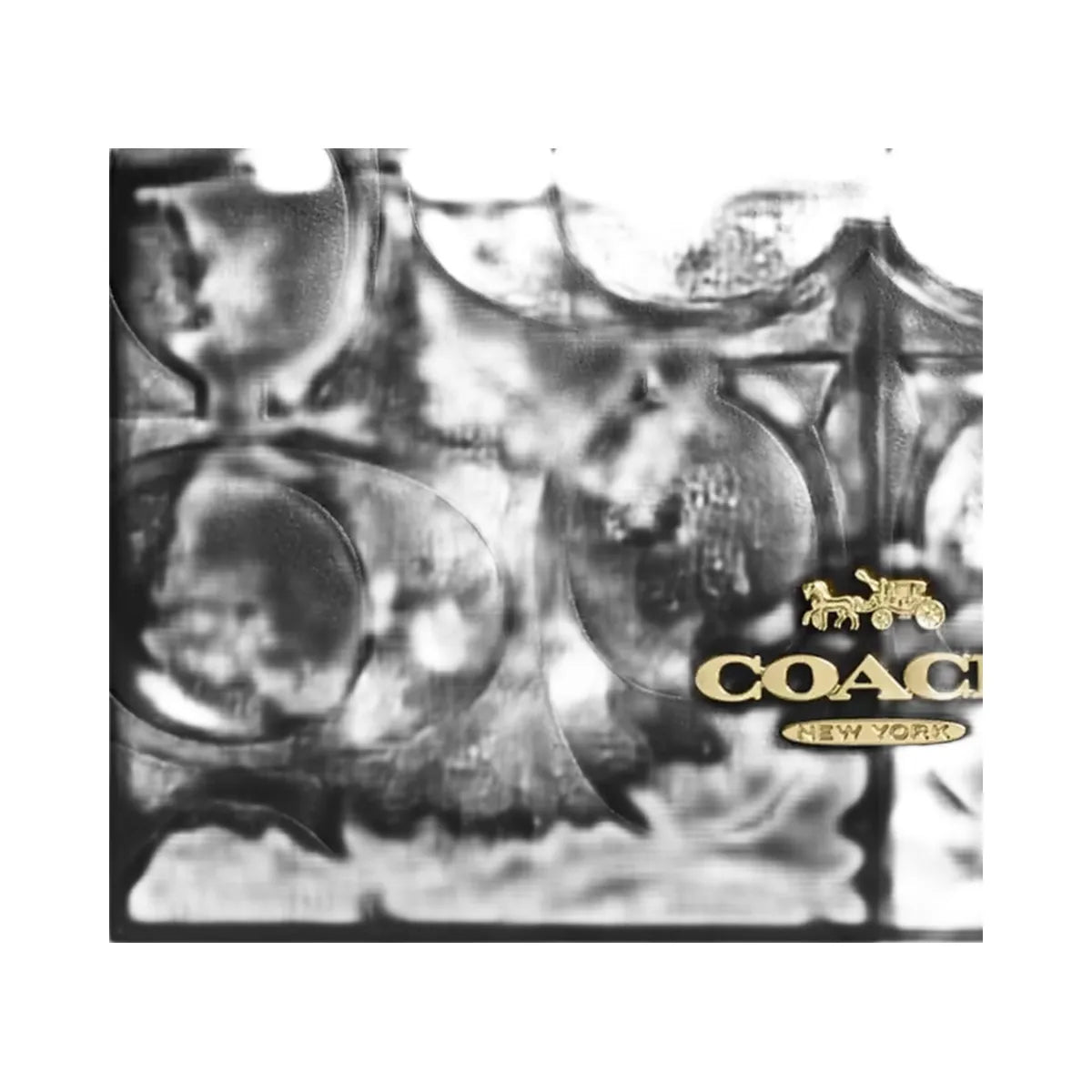 Coach Maggie Tote Bag In Signature Leather in Gold Black
