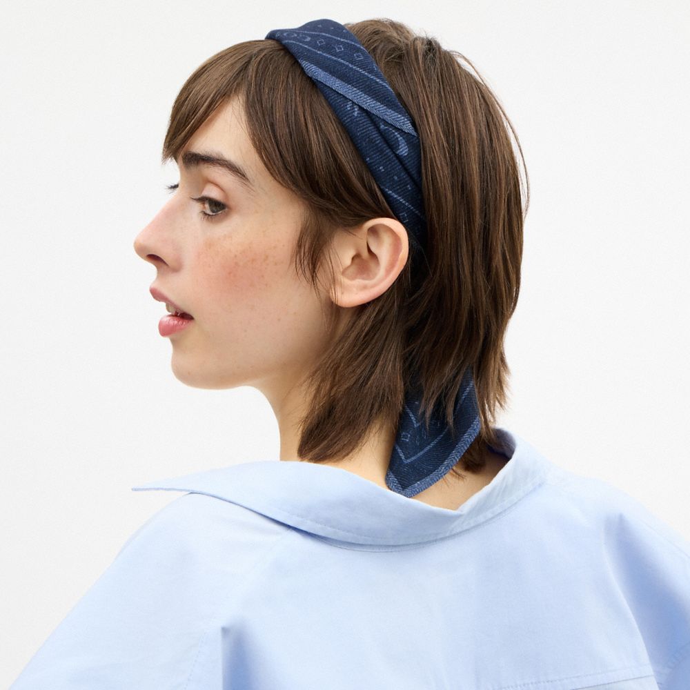 Dino Print Bandana