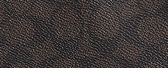 Rowan Large Satchel Bag In Signature Canvas