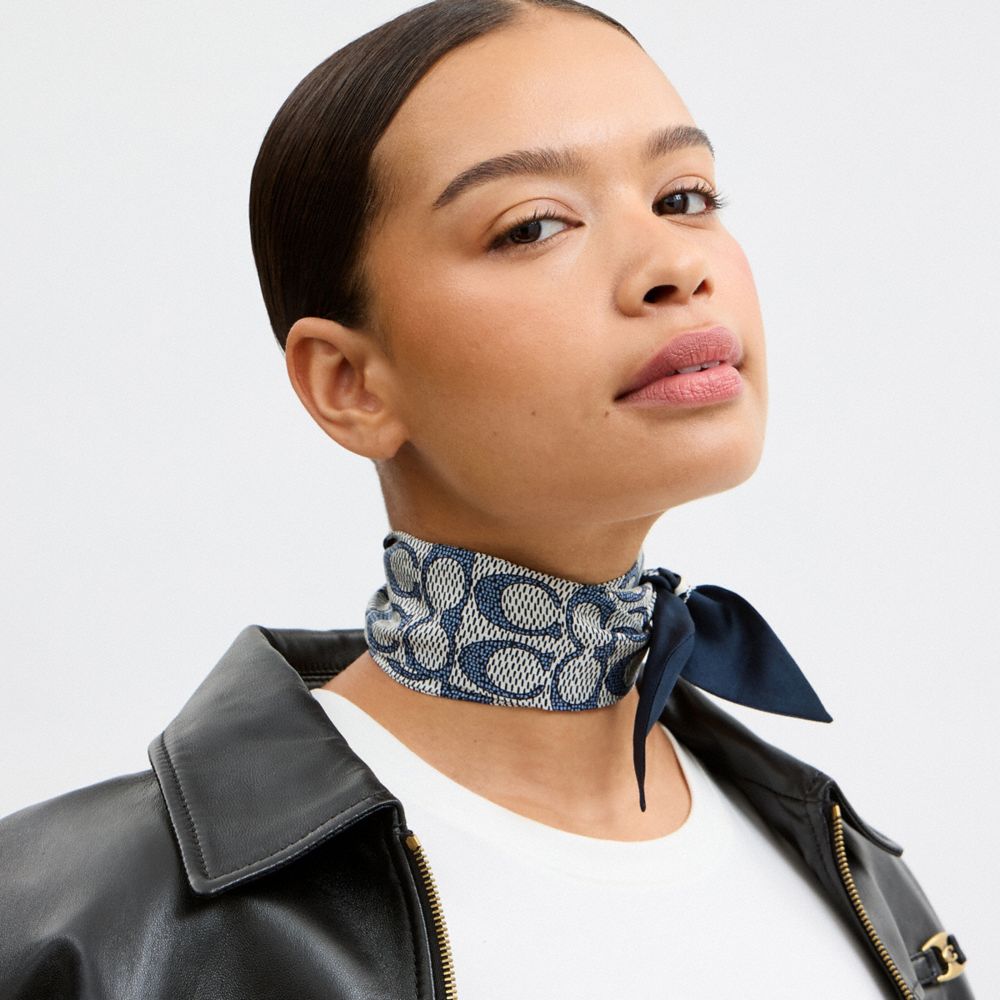 Textured Signature Print Silk Skinny Scarf
