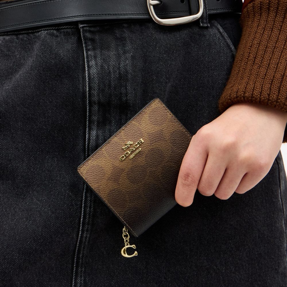 Snap Wallet In Ombre Signature Canvas
