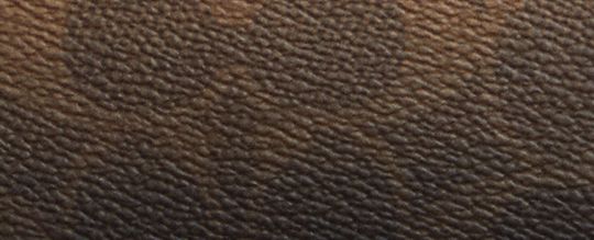 Snap Wallet In Ombre Signature Canvas