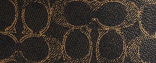 Carey Crossbody Bag In Loved Signature Canvas With Charms