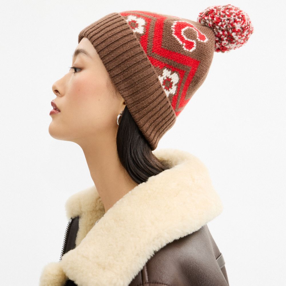 Coach Fair Isle Print Knit Beanie Sable Multi