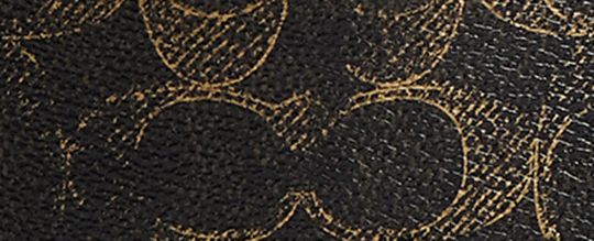 Mini Carey Crossbody Bag In Loved Signature Canvas