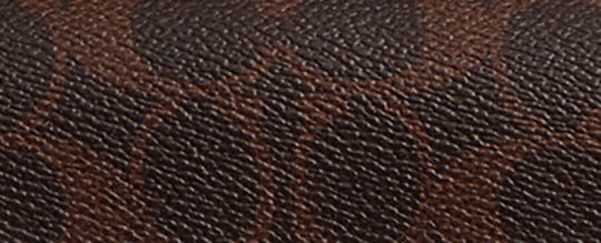 Brook Flap Chain Bag In Signature Canvas