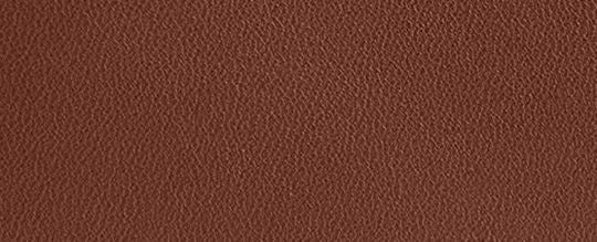 Coin Wallet