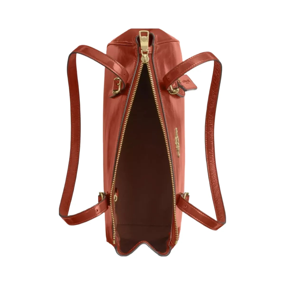 Coach Asher Shoulder Bag in Im Cinnamon