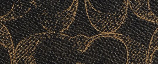 Nolita 19 In Loved Signature Canvas With Charms