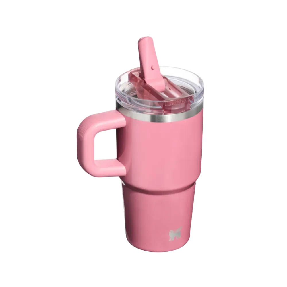 Stanley Quencher ProTour Flip Straw Tumbler 30 OZ  Port Shimmer