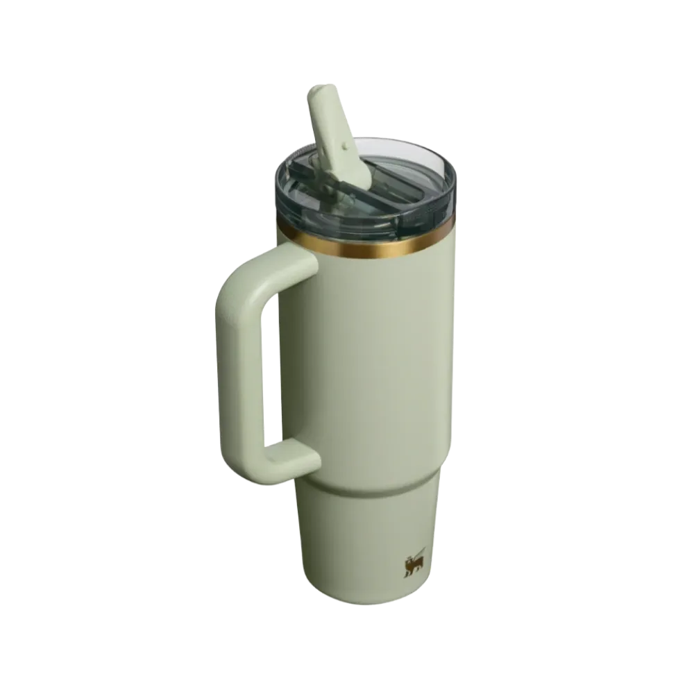 Stanley Quencher ProTour Flip Straw Tumbler 30 OZ Juniper