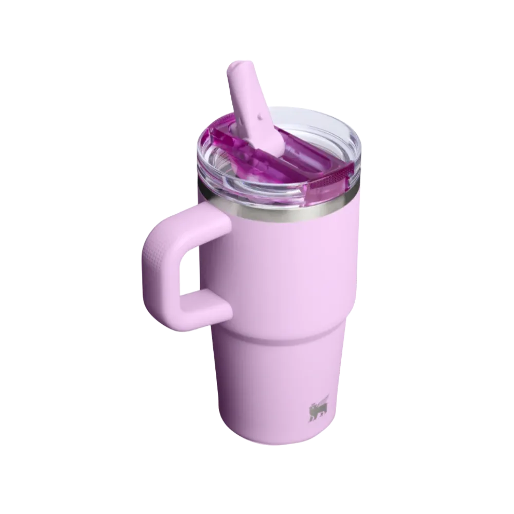 Stanley Quencher ProTour Flip Straw Tumbler 20 OZ Soft Orchid