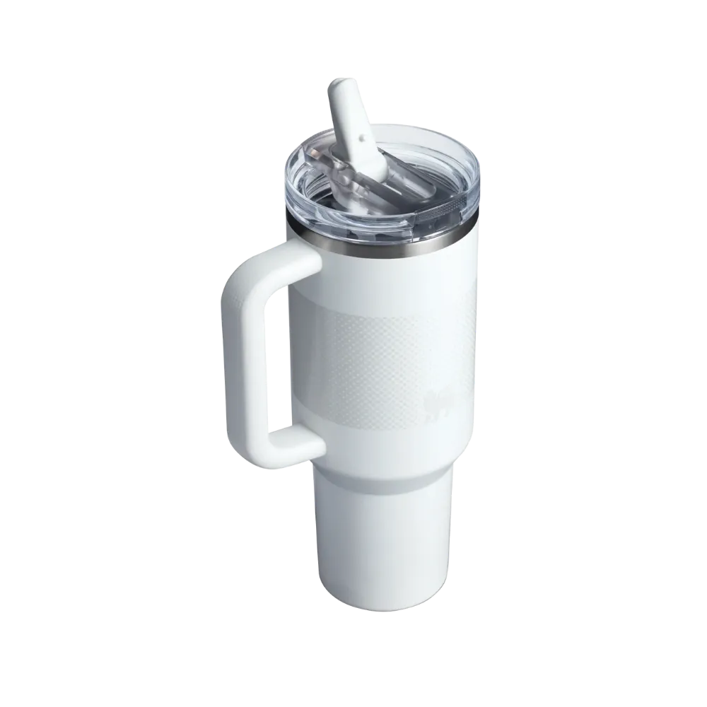 Stanley Quencher ProTour Flip Straw Tumbler (40OZ) Frost Fade