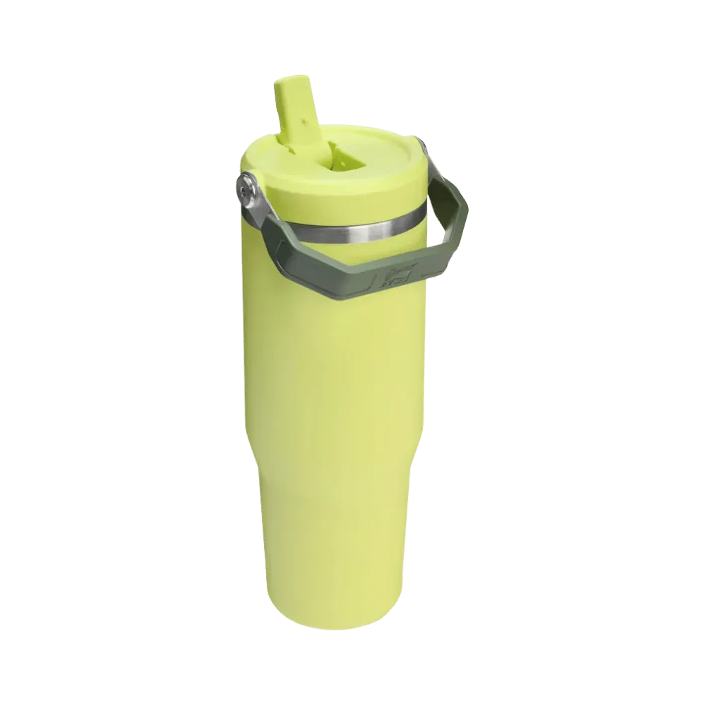 Stanley Flip Straw Iceflow Tumbler Pricky Pear