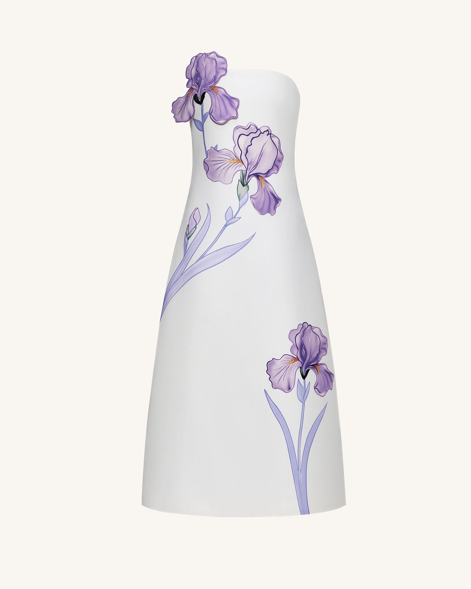 Iris Floral Print Strapless A-Line Maxi Dress - White