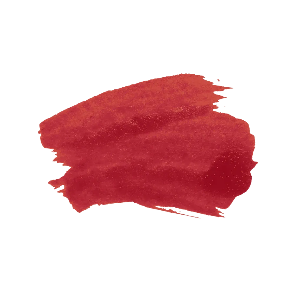 SACHEU Peel Off Lip Liner STAY-N - Getredy