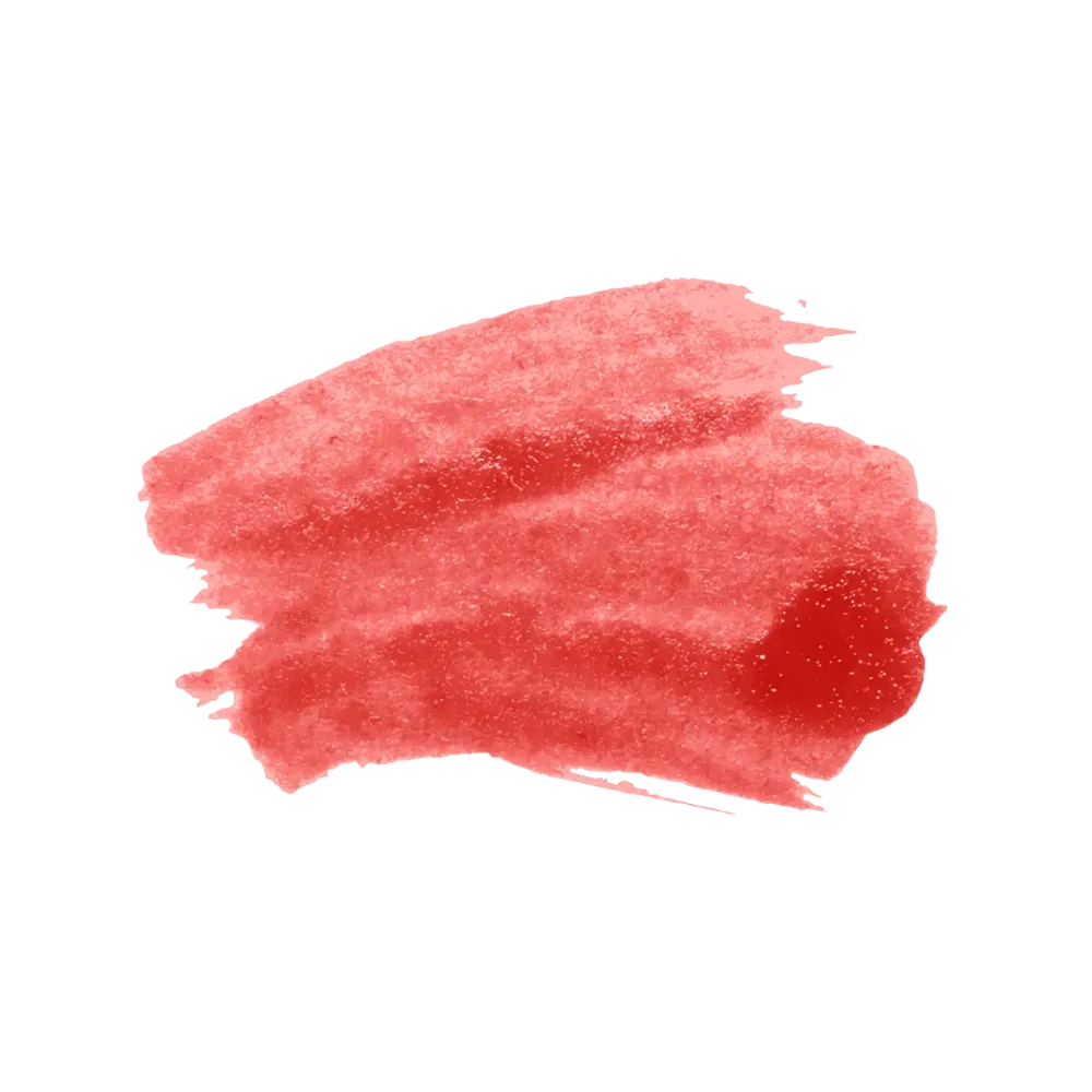 SACHEU Peel Off Lip Liner STAY-N - Coreal