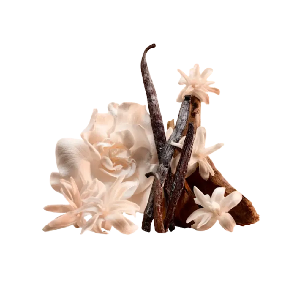 Charlotte Tilbury Charlotte's Magic Body Cream Joyphoria