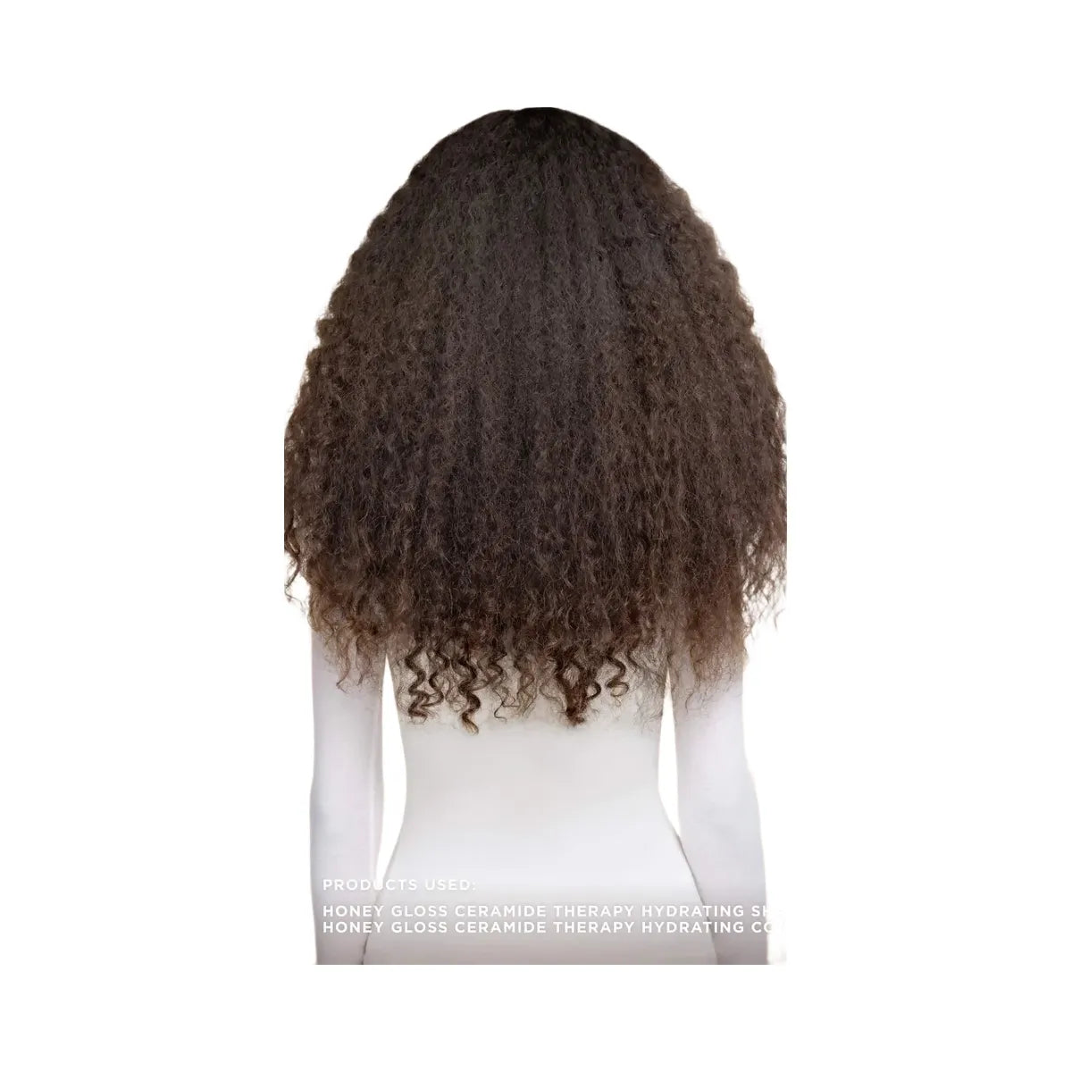 Honey Gloss Ceramide Therapy Hydrating Shampoo
