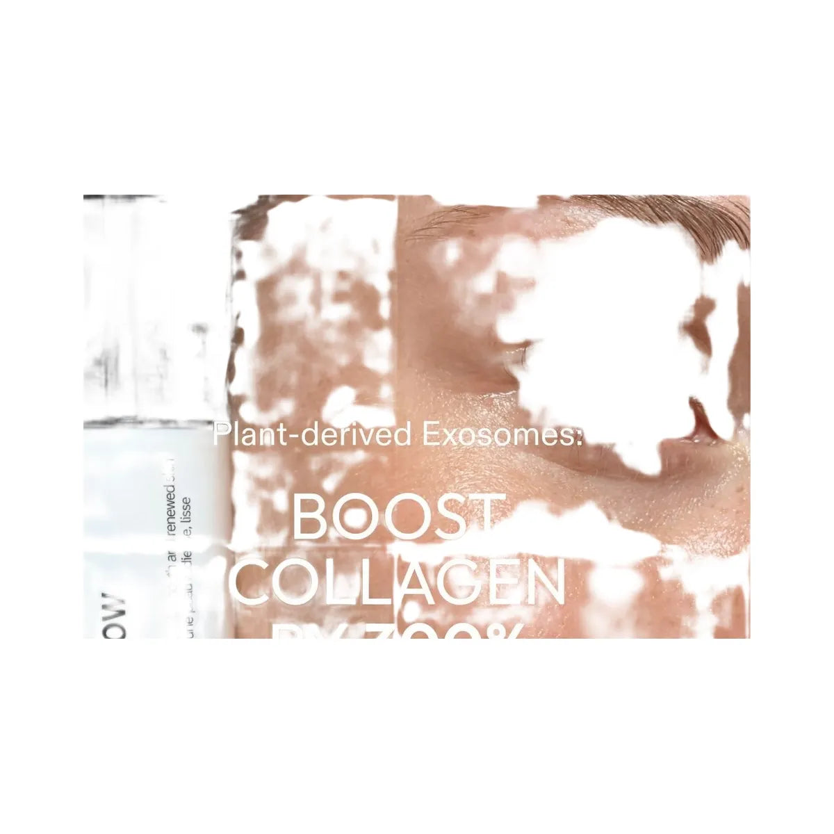 INKEY Exosome Hydro-Glow Complex Serum