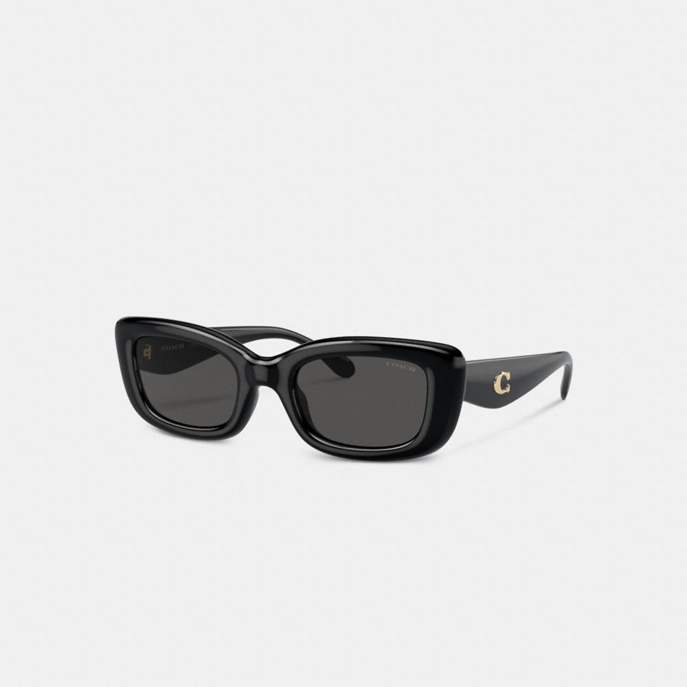 C Hardware Narrow Rectangle Sunglasses