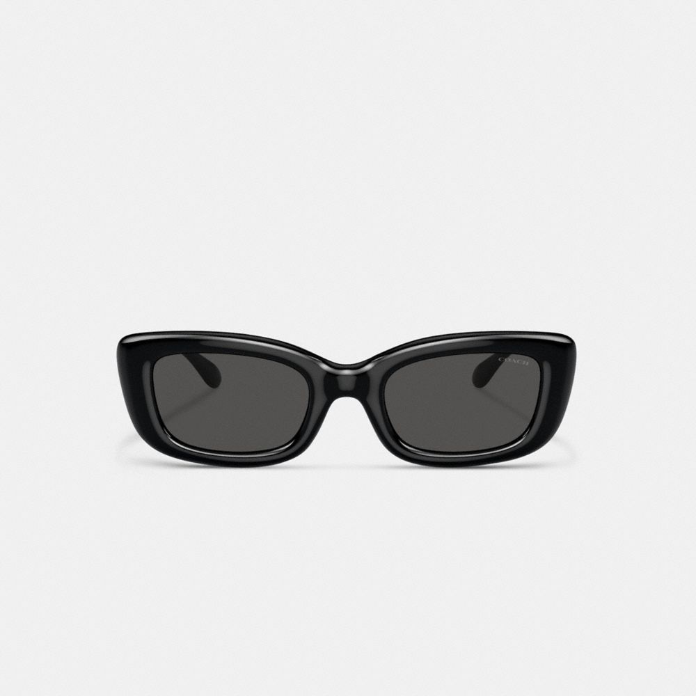 C Hardware Narrow Rectangle Sunglasses