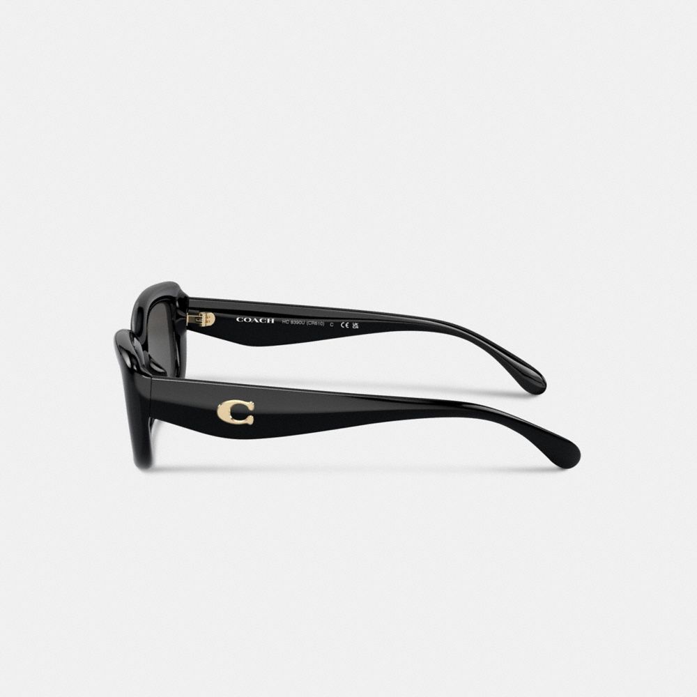 C Hardware Narrow Rectangle Sunglasses