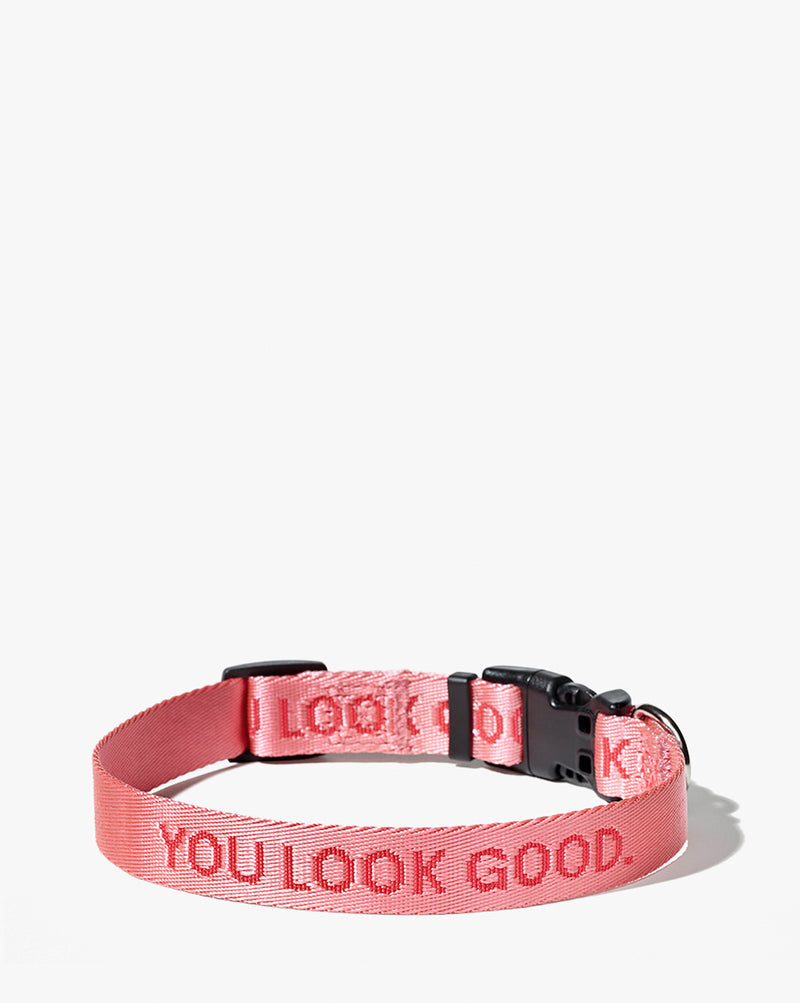 You Look Good Collar