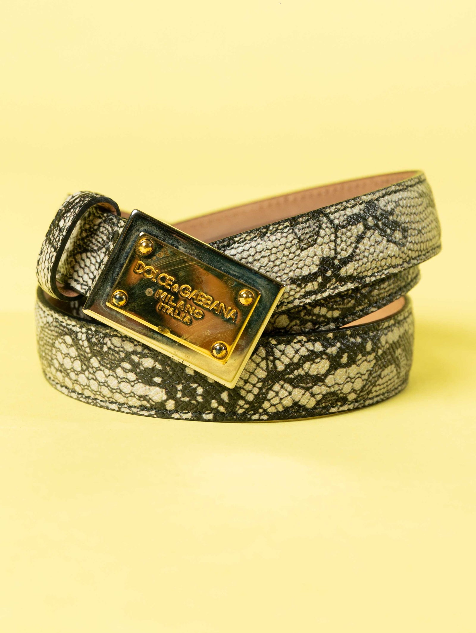 Dolce & Gabbana Python Ladies Belt Snake Skin (One Size)