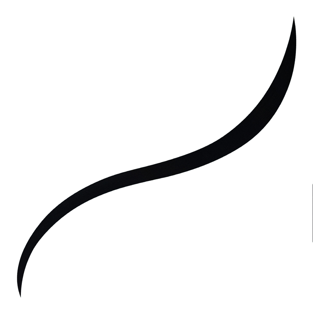 Roller Liner Black Liquid Eyeliner