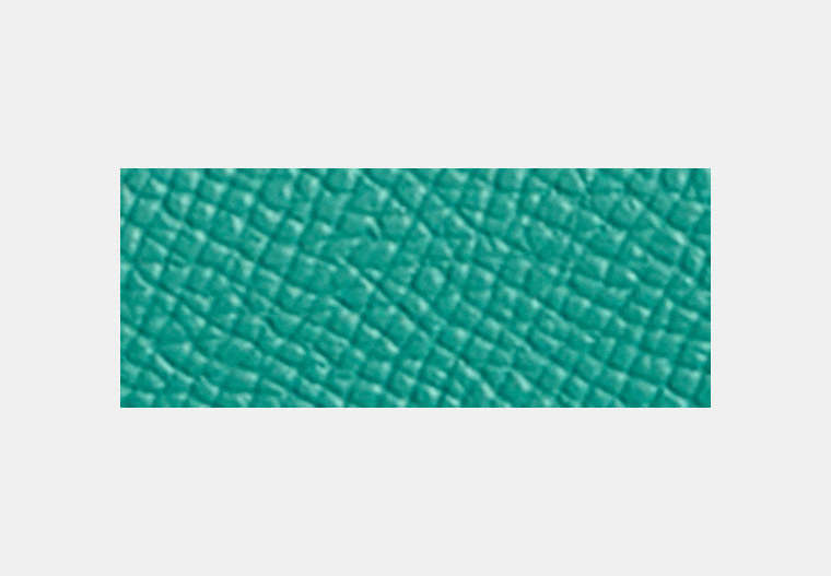 Restored Wyn Soft Wallet
