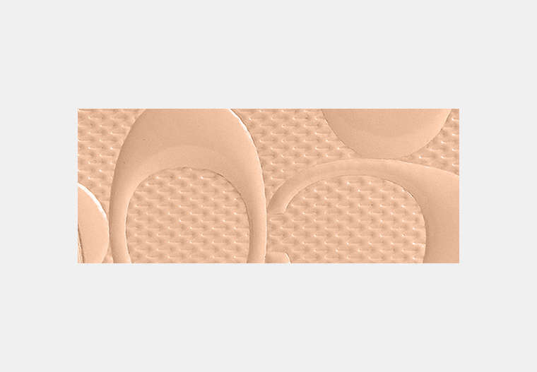 Zip Card Case In Signature Leather With Charm