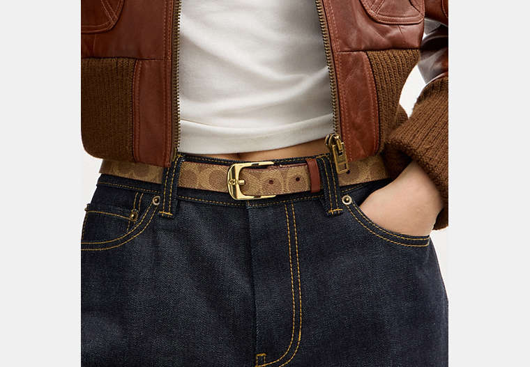 C Harness Buckle Belt, 25 Mm