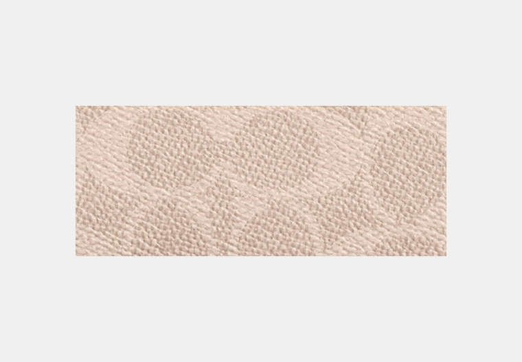 Long Zip Around Wallet In Signature Canvas