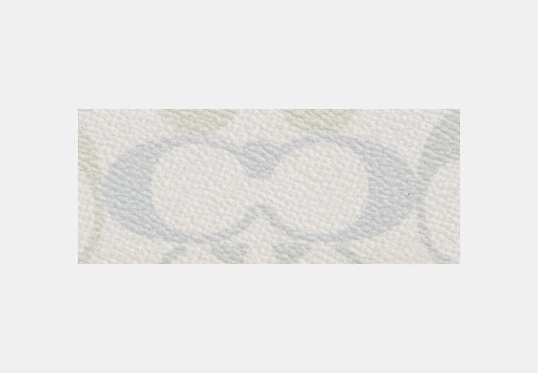 Long Zip Around Wallet In Signature Canvas