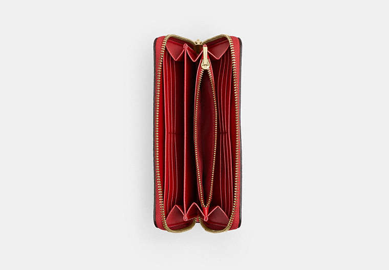 Long Zip Around Wallet In Signature Canvas