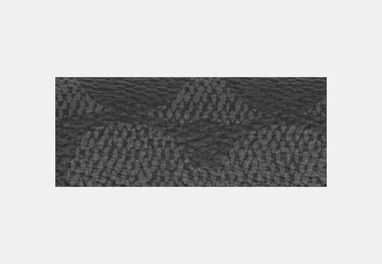 Large Wireless Earbud Pro Case In Signature Canvas