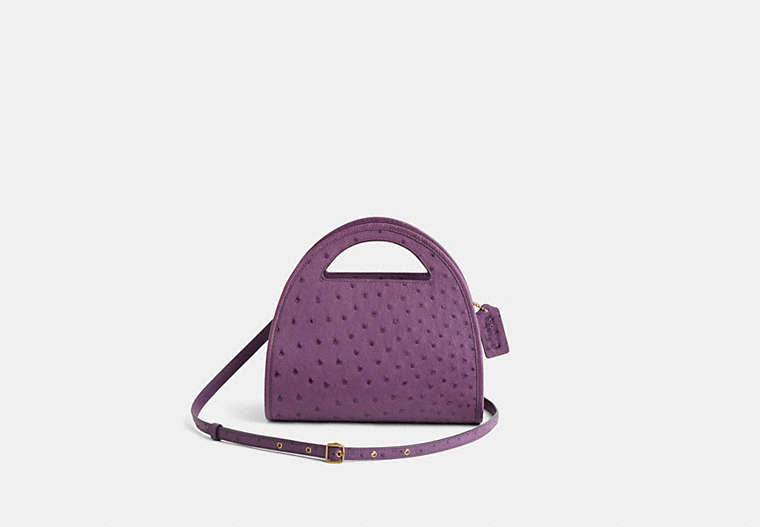 Restored Zip Dome Crossbody In Ostrich