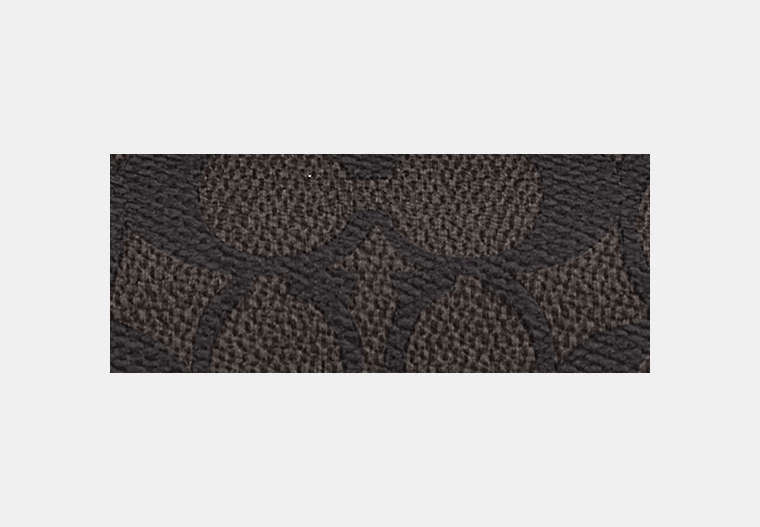 Sunglass Case In Signature Canvas