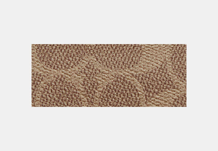Sunglass Case In Signature Canvas