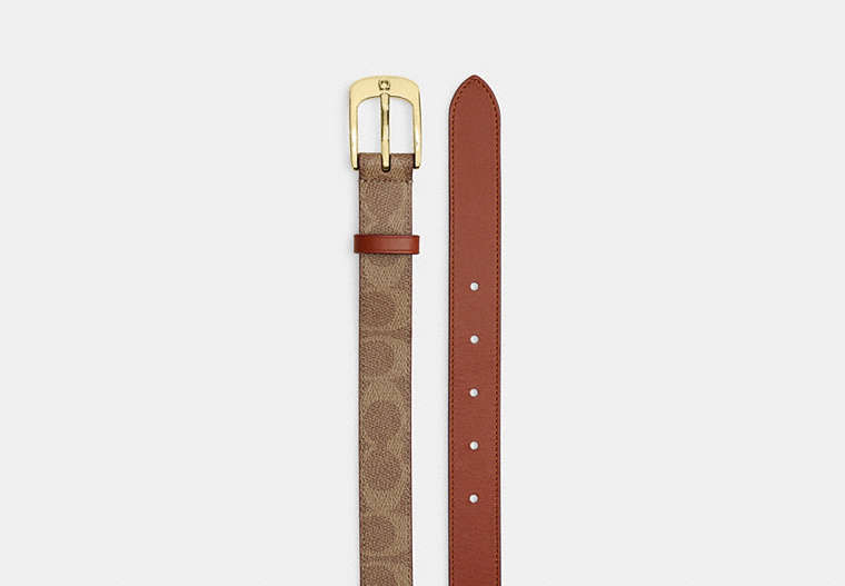 C Harness Buckle Belt, 25 Mm