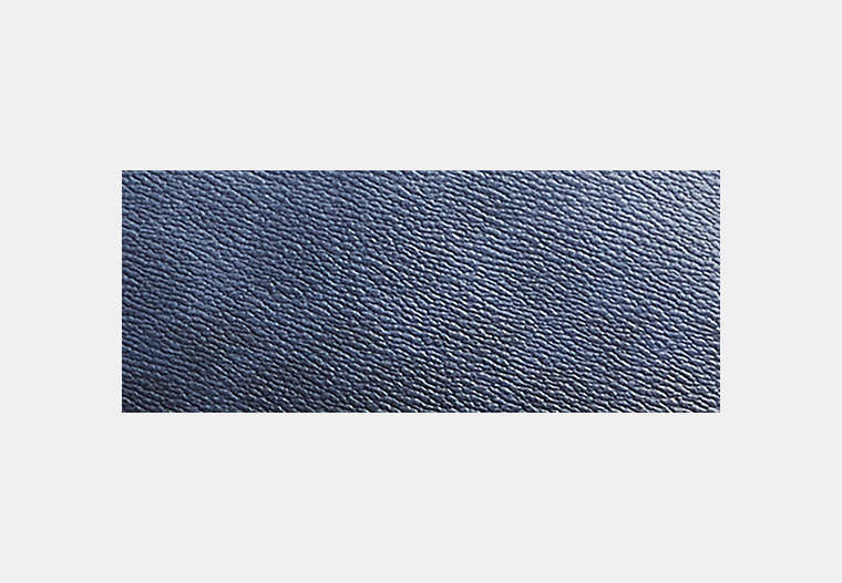 Taylor Backpack In Ombre Signature Canvas